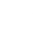 Specialized Project Assistance
